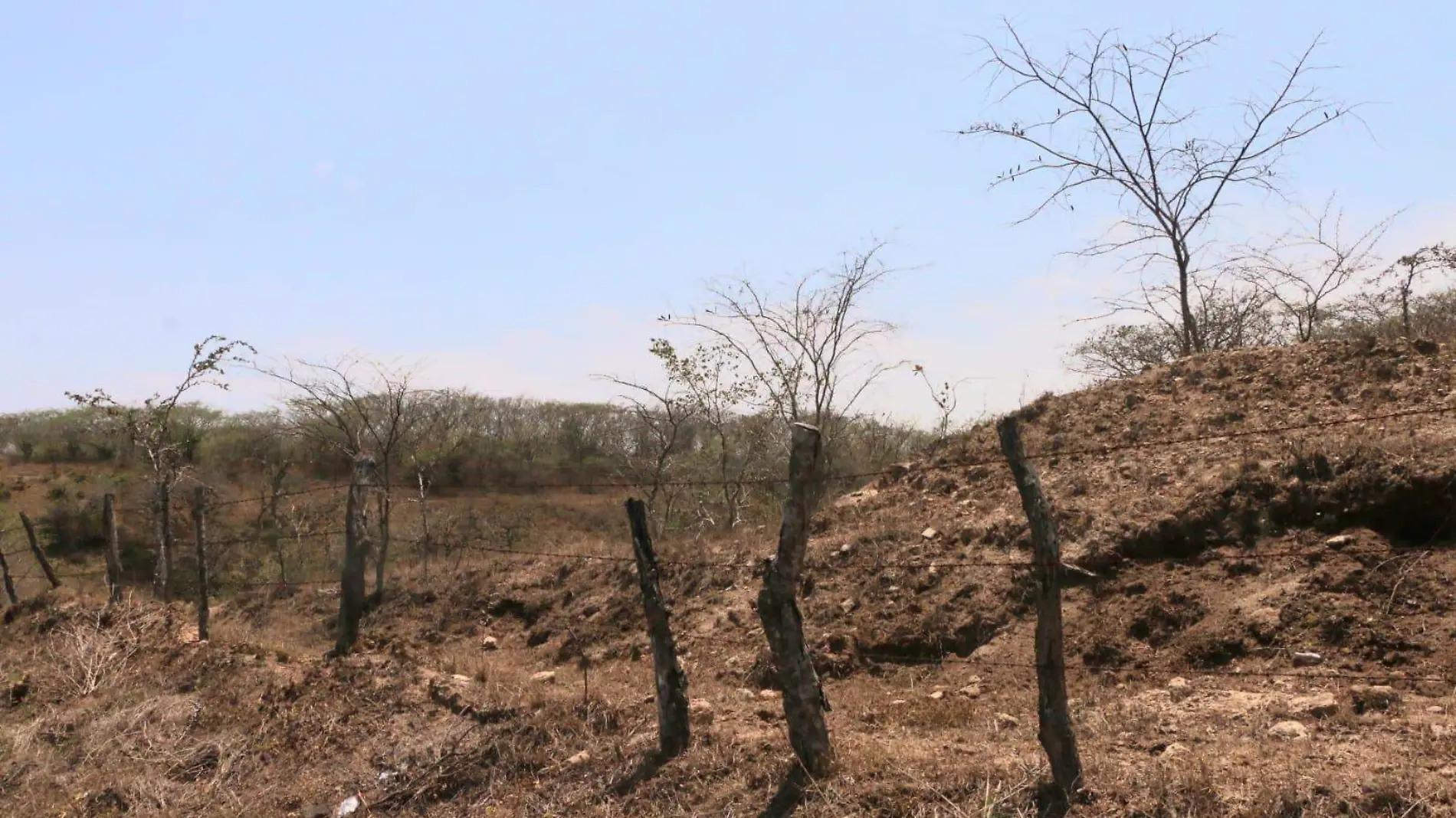 Sequía | Altas temperaturas | Estiaje | Calor